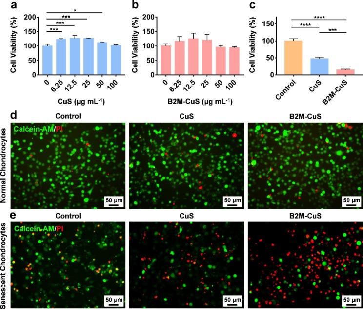https://cdn.ncbi.nlm.nih.gov/pmc/blobs/917c/10408088/5689a7b69080/12951_2023_2036_Fig4_HTML.jpg