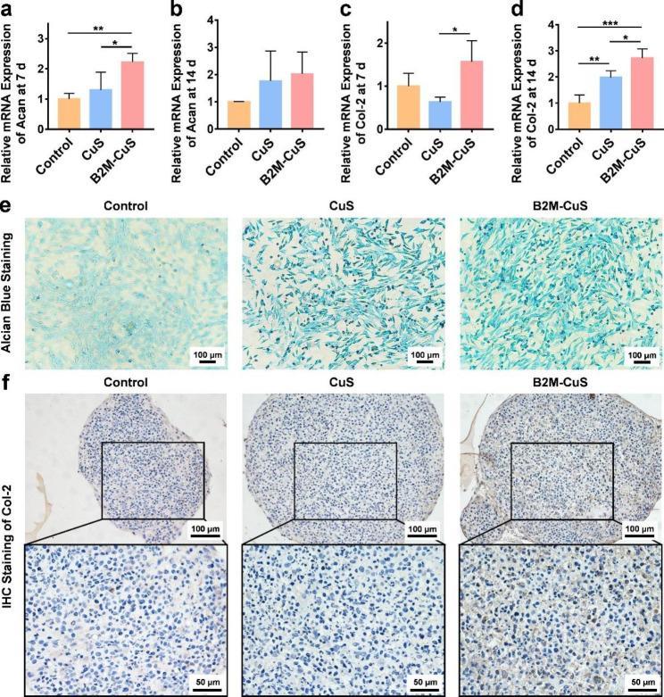 https://cdn.ncbi.nlm.nih.gov/pmc/blobs/917c/10408088/5b5401584caf/12951_2023_2036_Fig6_HTML.jpg