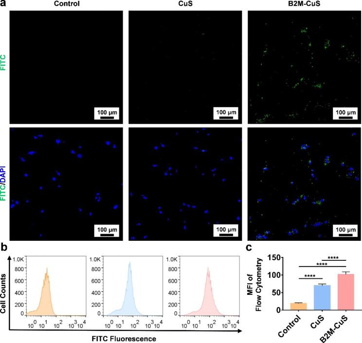 https://cdn.ncbi.nlm.nih.gov/pmc/blobs/917c/10408088/e80a3fd5b3e9/12951_2023_2036_Fig3_HTML.jpg
