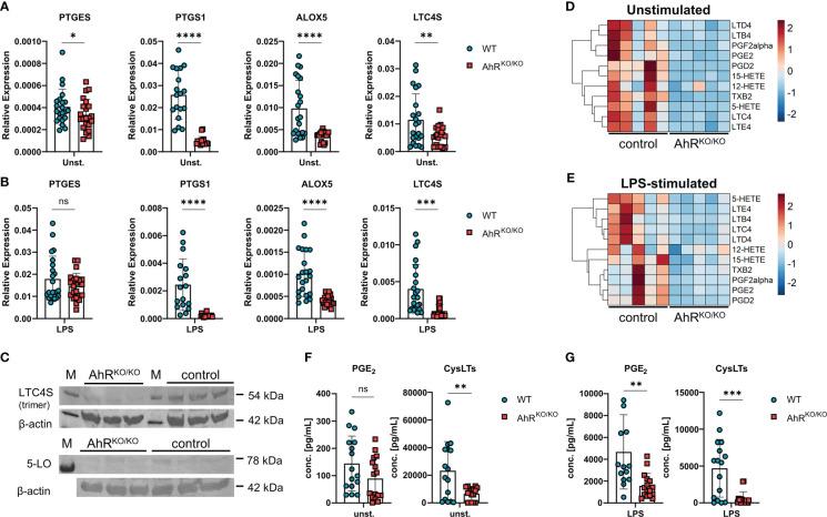 https://cdn.ncbi.nlm.nih.gov/pmc/blobs/917e/10110899/9f2d9bfe01de/fimmu-14-1157373-g002.jpg