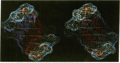 https://cdn.ncbi.nlm.nih.gov/pmc/blobs/917f/346505/21221f10b955/pnas00451-0087-a.jpg