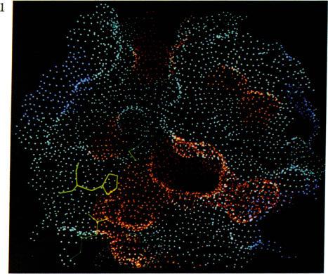 https://cdn.ncbi.nlm.nih.gov/pmc/blobs/917f/346505/d96534604f80/pnas00451-0085-a.jpg