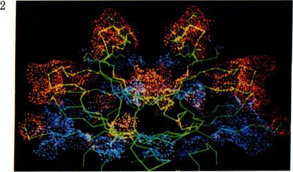 https://cdn.ncbi.nlm.nih.gov/pmc/blobs/917f/346505/ec125cfbaaa7/pnas00451-0085-f.jpg