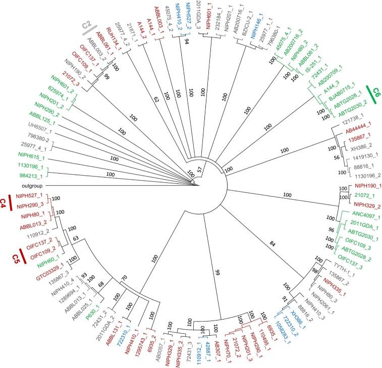 https://cdn.ncbi.nlm.nih.gov/pmc/blobs/9180/6193963/15ef2a4fc866/41598_2018_33800_Fig6_HTML.jpg