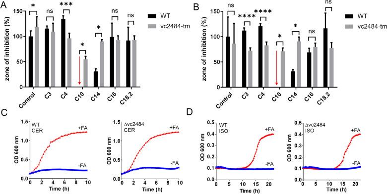https://cdn.ncbi.nlm.nih.gov/pmc/blobs/9181/12208996/c1c4d3cad691/284_2025_4332_Fig5_HTML.jpg