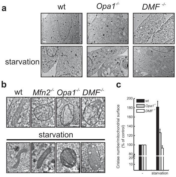 https://cdn.ncbi.nlm.nih.gov/pmc/blobs/9181/3088644/2003f04617a5/ukmss-34218-f0007.jpg