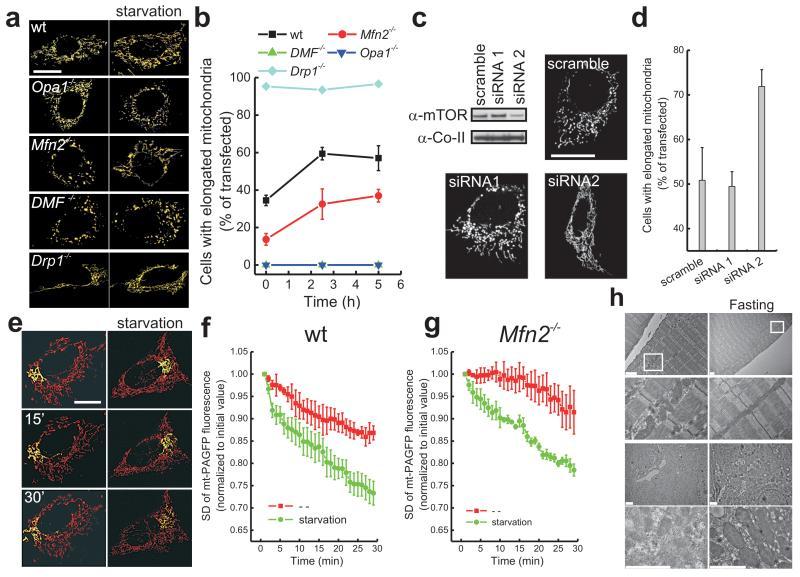 https://cdn.ncbi.nlm.nih.gov/pmc/blobs/9181/3088644/2cb543a486c1/ukmss-34218-f0001.jpg