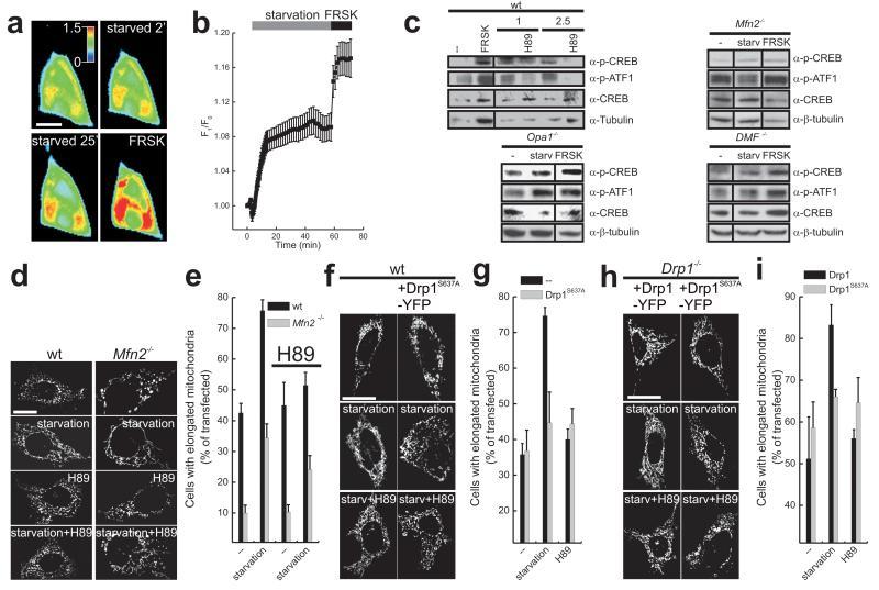 https://cdn.ncbi.nlm.nih.gov/pmc/blobs/9181/3088644/87eaef6d0160/ukmss-34218-f0003.jpg