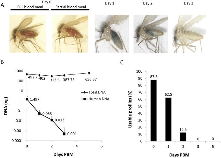 https://cdn.ncbi.nlm.nih.gov/pmc/blobs/9181/4871566/6c0d55bfd144/pntd.0004706.g001.jpg