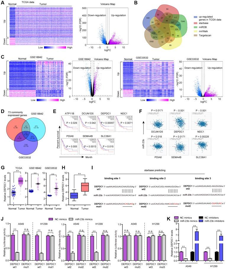 https://cdn.ncbi.nlm.nih.gov/pmc/blobs/9181/7244022/2976fa5a1637/aging-12-103191-g007.jpg