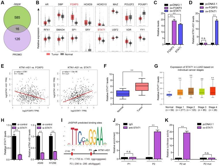 https://cdn.ncbi.nlm.nih.gov/pmc/blobs/9181/7244022/60051d7a7559/aging-12-103191-g002.jpg