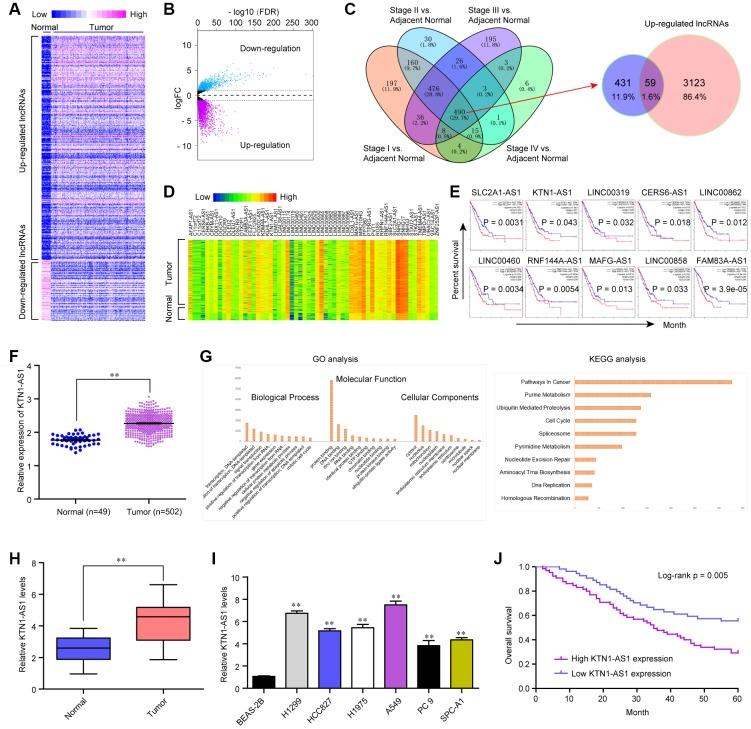 https://cdn.ncbi.nlm.nih.gov/pmc/blobs/9181/7244022/a3f43485698f/aging-12-103191-g001.jpg