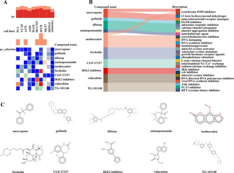 https://cdn.ncbi.nlm.nih.gov/pmc/blobs/9183/10234004/9759821674f9/12967_2023_4171_Fig6_HTML.jpg