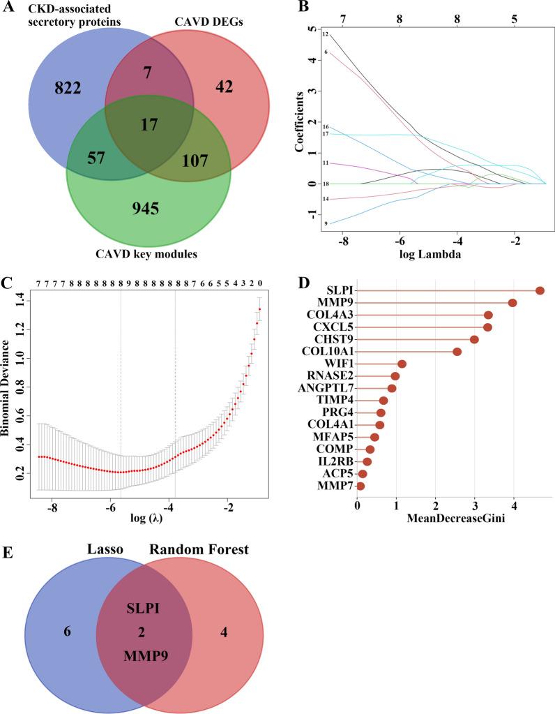 https://cdn.ncbi.nlm.nih.gov/pmc/blobs/9183/10234004/e838df05d294/12967_2023_4171_Fig7_HTML.jpg