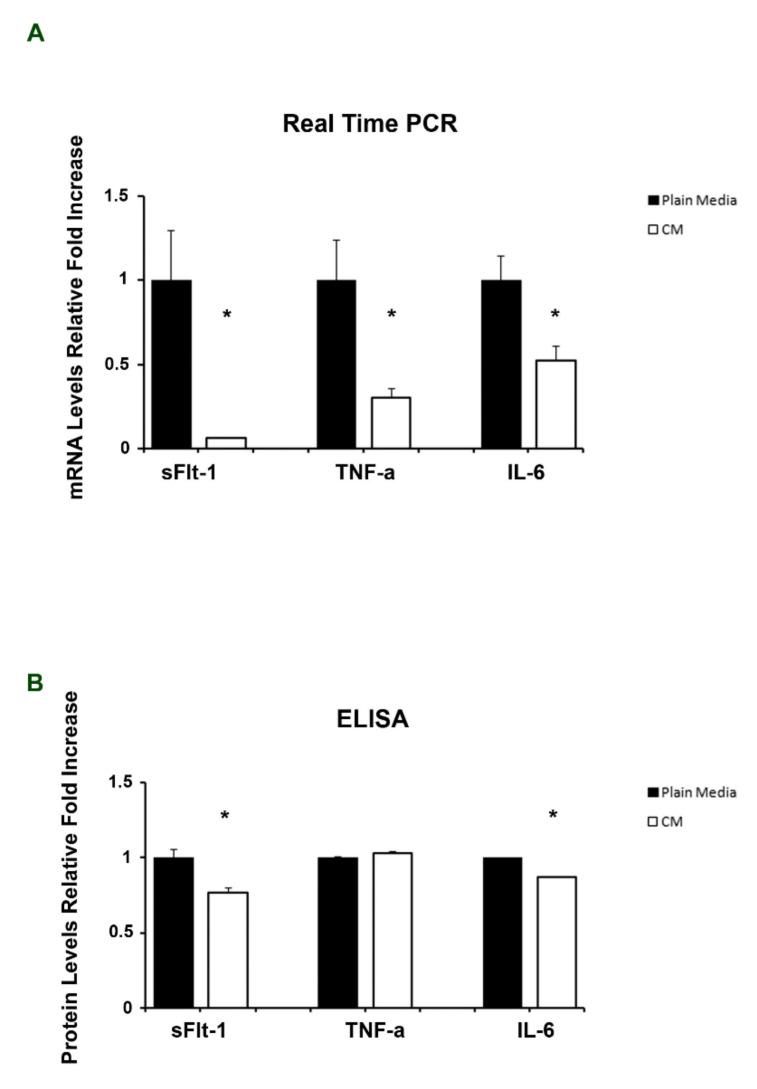 https://cdn.ncbi.nlm.nih.gov/pmc/blobs/9184/8836066/ac1633788f3f/ijms-23-01674-g002.jpg
