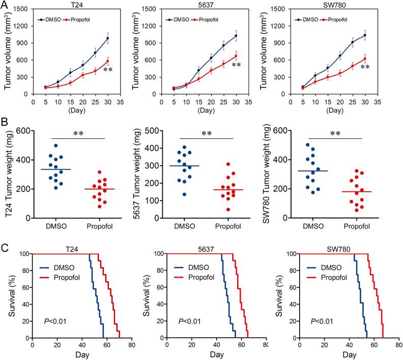 https://cdn.ncbi.nlm.nih.gov/pmc/blobs/9187/7863560/98c79281d32d/10.1177_0963689720985113-fig5.jpg