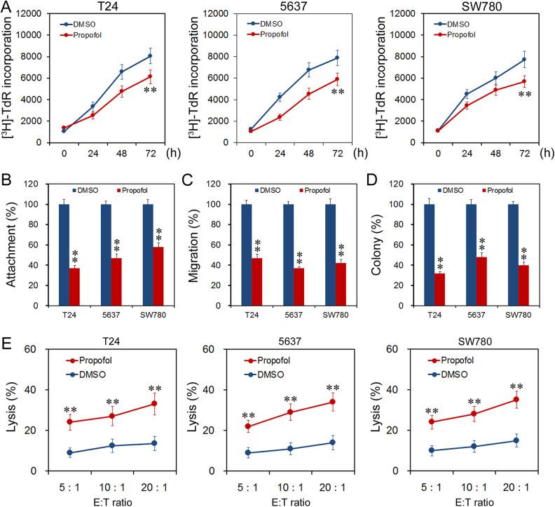 https://cdn.ncbi.nlm.nih.gov/pmc/blobs/9187/7863560/9e0441be39dd/10.1177_0963689720985113-fig1.jpg