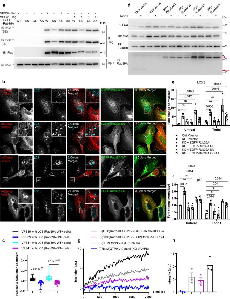 https://cdn.ncbi.nlm.nih.gov/pmc/blobs/9188/10567733/4c4f56a8a736/41467_2023_42003_Fig5_HTML.jpg