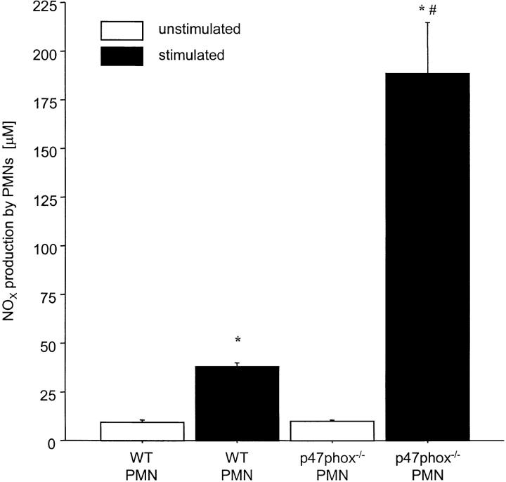 https://cdn.ncbi.nlm.nih.gov/pmc/blobs/9188/2195977/2d1d82384996/010598f6.jpg