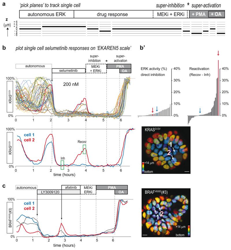 https://cdn.ncbi.nlm.nih.gov/pmc/blobs/9189/7610573/69f71f8c65f3/EMS118801-f003.jpg