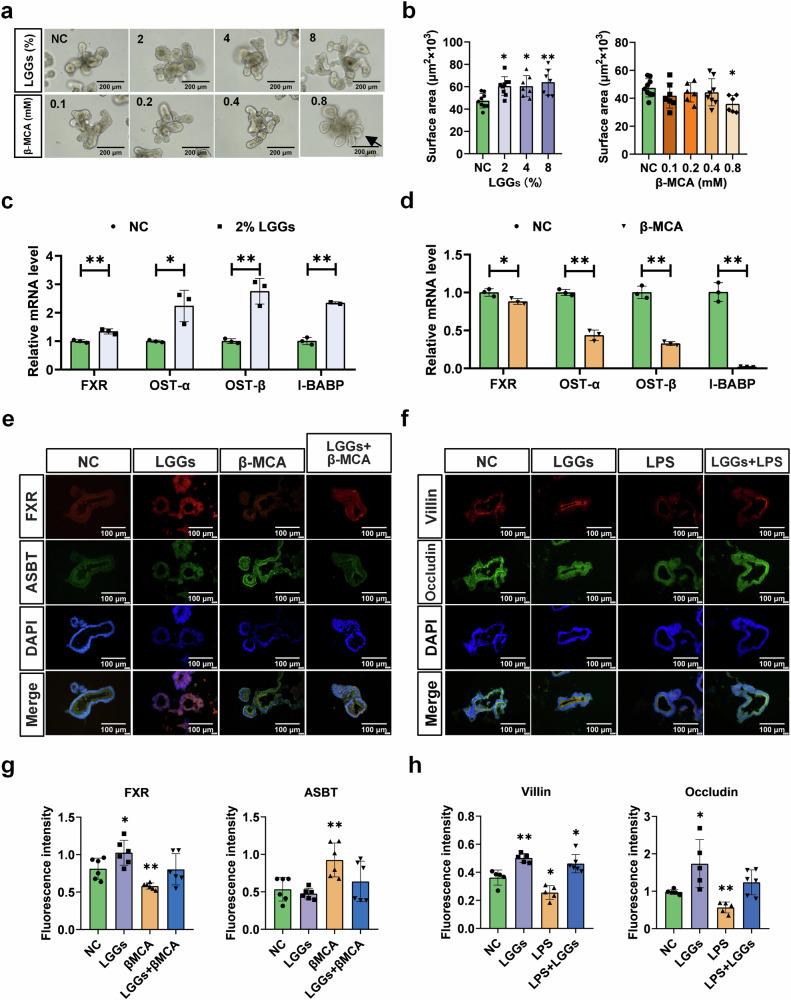 https://cdn.ncbi.nlm.nih.gov/pmc/blobs/918c/12117158/7abd1d5becc0/42003_2025_8254_Fig3_HTML.jpg