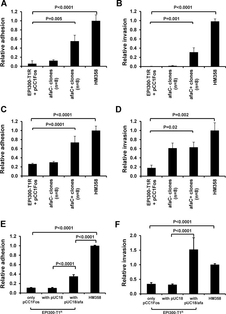 https://cdn.ncbi.nlm.nih.gov/pmc/blobs/918e/3995253/2c8f07bf7823/gutjnl-2013-304739f03.jpg