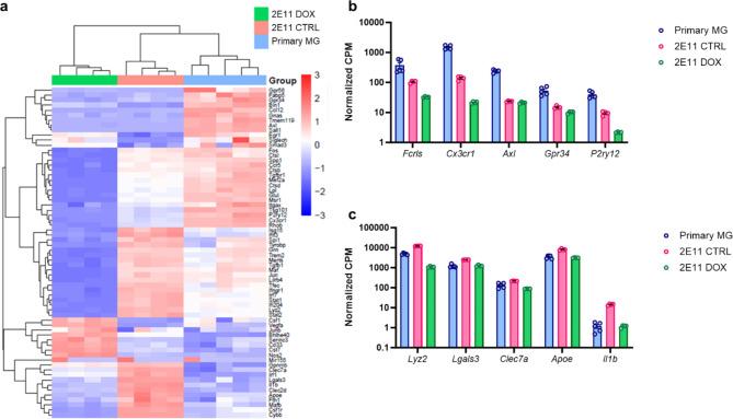 https://cdn.ncbi.nlm.nih.gov/pmc/blobs/918f/11762310/864ffafc2627/41598_2025_87543_Fig2_HTML.jpg