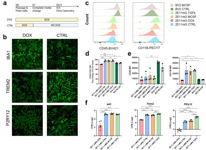 https://cdn.ncbi.nlm.nih.gov/pmc/blobs/918f/11762310/b01fb975001b/41598_2025_87543_Fig4_HTML.jpg