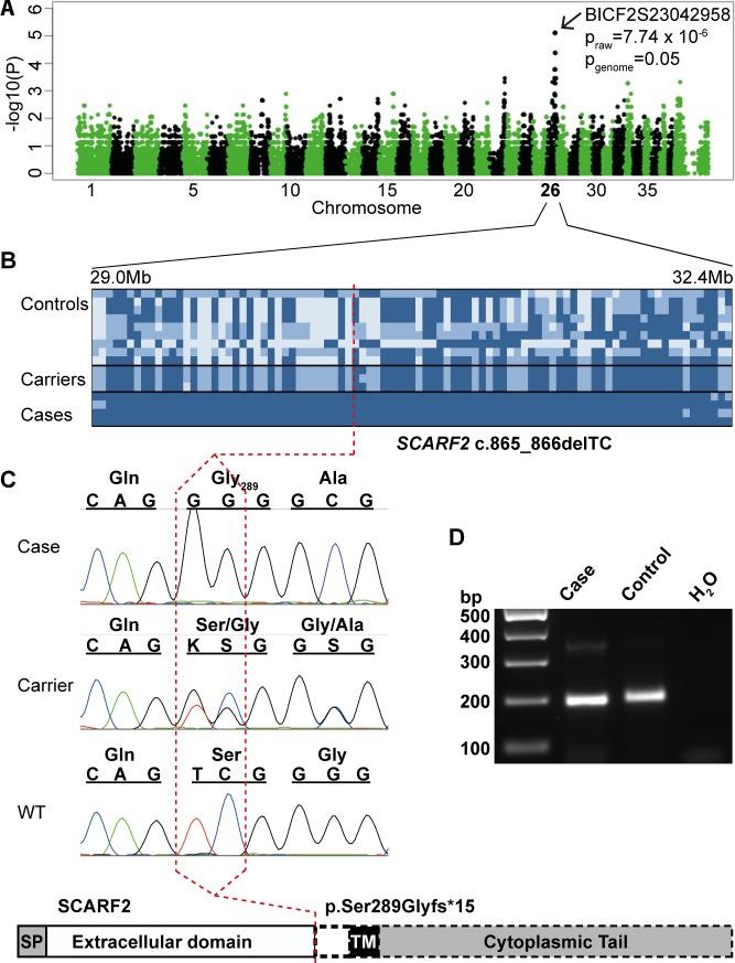 https://cdn.ncbi.nlm.nih.gov/pmc/blobs/918f/4871343/cd64493a595c/pgen.1006037.g003.jpg