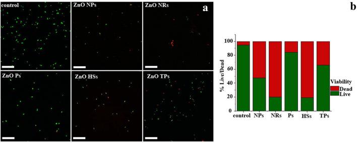 https://cdn.ncbi.nlm.nih.gov/pmc/blobs/918f/9114415/f9dff5963d22/41598_2022_12134_Fig10_HTML.jpg