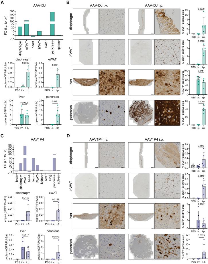 https://cdn.ncbi.nlm.nih.gov/pmc/blobs/9190/12056398/6a54dadea152/gr5.jpg