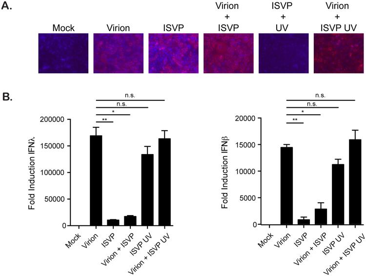 https://cdn.ncbi.nlm.nih.gov/pmc/blobs/9191/5589761/685625d0da2f/41598_2017_11469_Fig2_HTML.jpg