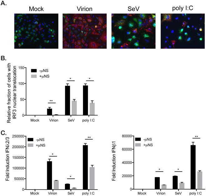 https://cdn.ncbi.nlm.nih.gov/pmc/blobs/9191/5589761/c78d50cf3e86/41598_2017_11469_Fig8_HTML.jpg