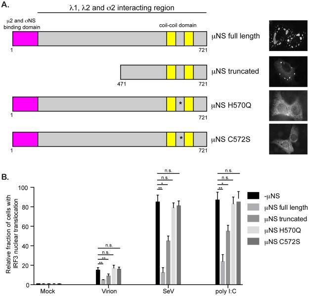 https://cdn.ncbi.nlm.nih.gov/pmc/blobs/9191/5589761/cc18453ab416/41598_2017_11469_Fig9_HTML.jpg