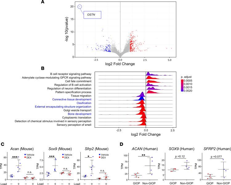 https://cdn.ncbi.nlm.nih.gov/pmc/blobs/9193/11623955/92d3532522ff/jciinsight-9-179963-g034.jpg