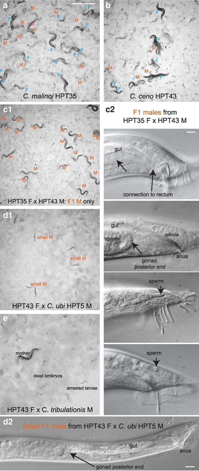 https://cdn.ncbi.nlm.nih.gov/pmc/blobs/9194/12341892/9bd52f08b4fb/jkaf134f4.jpg