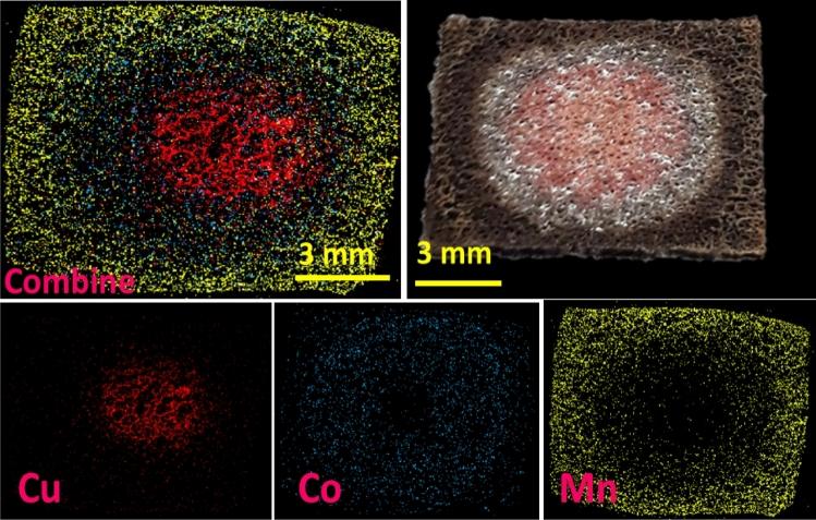 https://cdn.ncbi.nlm.nih.gov/pmc/blobs/9195/9530174/5e766078b047/41598_2022_20929_Fig5_HTML.jpg