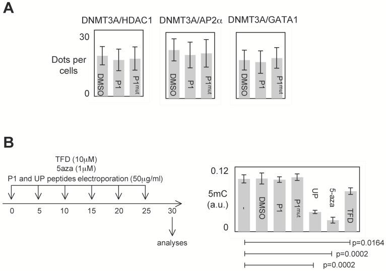 https://cdn.ncbi.nlm.nih.gov/pmc/blobs/9196/5039338/68107f947524/thnov06p1988g004.jpg