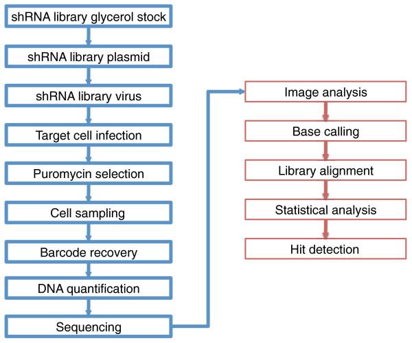 https://cdn.ncbi.nlm.nih.gov/pmc/blobs/9199/3333774/55d9e35d8aee/gb-2011-12-10-r104-1.jpg