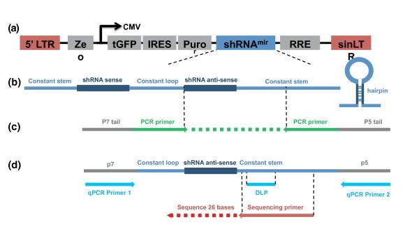 https://cdn.ncbi.nlm.nih.gov/pmc/blobs/9199/3333774/f09bc8747c8f/gb-2011-12-10-r104-3.jpg