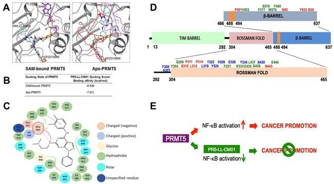 https://cdn.ncbi.nlm.nih.gov/pmc/blobs/919a/5522311/688b52d11afc/oncotarget-08-39963-g007.jpg