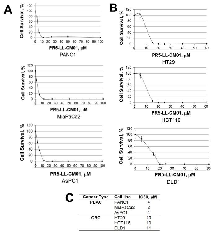 https://cdn.ncbi.nlm.nih.gov/pmc/blobs/919a/5522311/73d791073215/oncotarget-08-39963-g004.jpg
