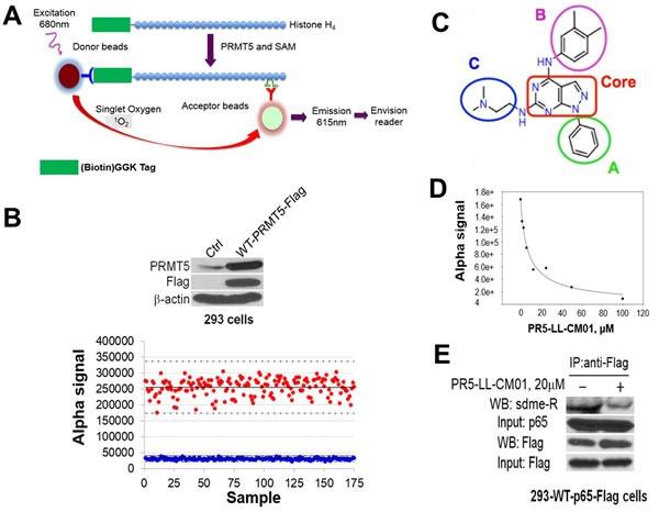 https://cdn.ncbi.nlm.nih.gov/pmc/blobs/919a/5522311/c5d2b4f85982/oncotarget-08-39963-g003.jpg