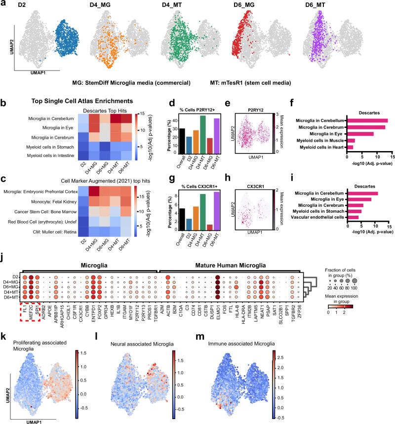 https://cdn.ncbi.nlm.nih.gov/pmc/blobs/919b/12152180/d9114b2b0676/41467_2025_59596_Fig4_HTML.jpg