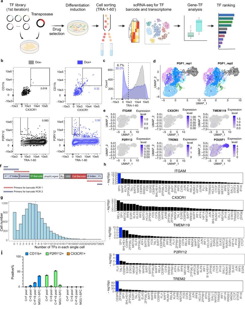 https://cdn.ncbi.nlm.nih.gov/pmc/blobs/919b/12152180/dab2add42abb/41467_2025_59596_Fig1_HTML.jpg
