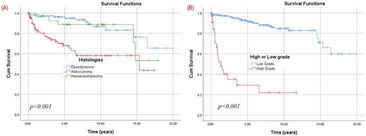 https://cdn.ncbi.nlm.nih.gov/pmc/blobs/919b/12248634/f285aa9579d3/cancers-17-02112-g002.jpg