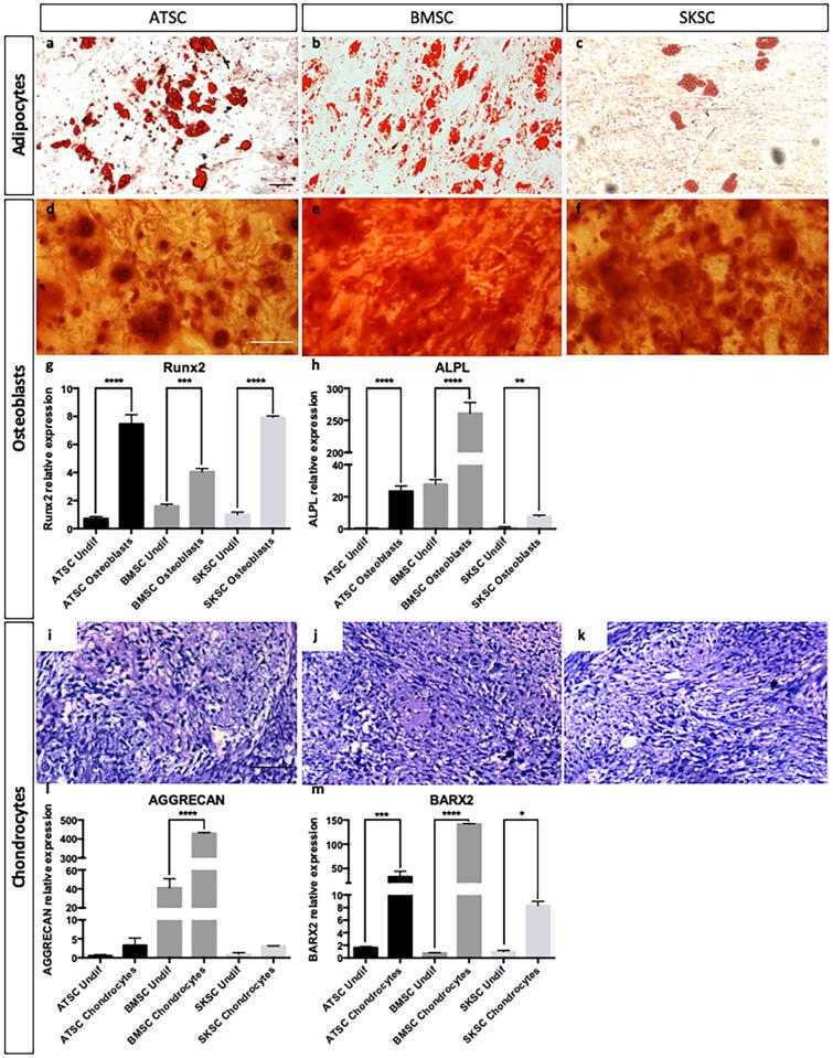 https://cdn.ncbi.nlm.nih.gov/pmc/blobs/919b/5500284/77fef21c3f23/pone.0177962.g006.jpg