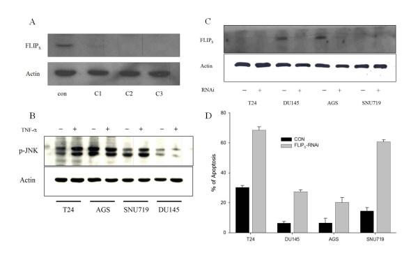 https://cdn.ncbi.nlm.nih.gov/pmc/blobs/919d/2259347/b817d041581a/1750-2187-3-2-4.jpg