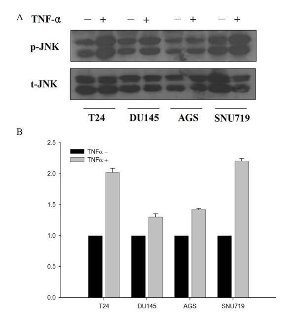 https://cdn.ncbi.nlm.nih.gov/pmc/blobs/919d/2259347/ba115abd71bf/1750-2187-3-2-3.jpg