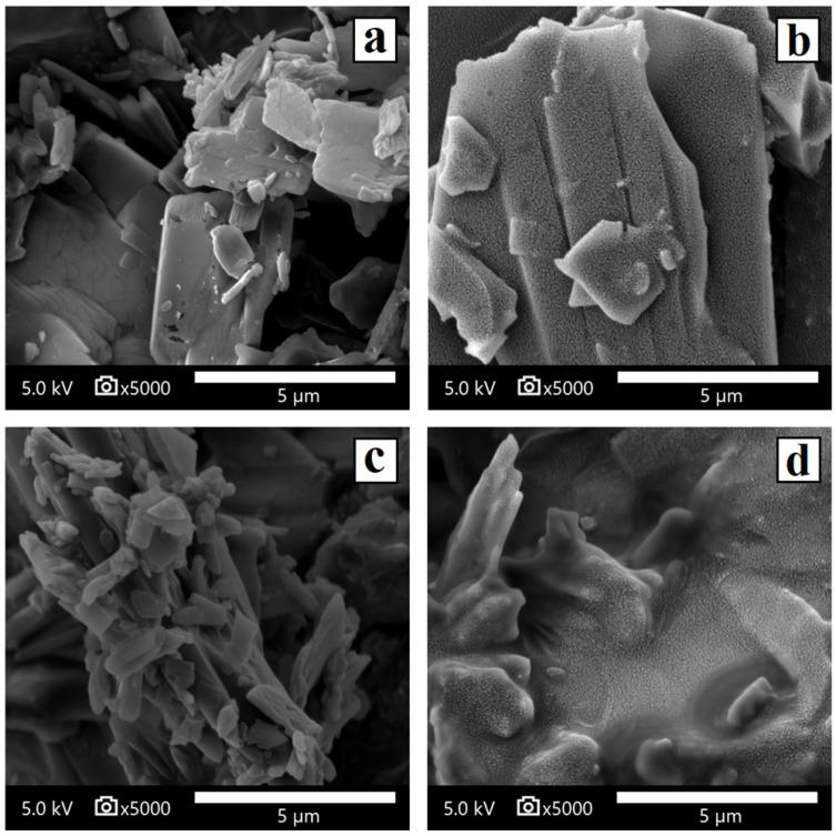 https://cdn.ncbi.nlm.nih.gov/pmc/blobs/91a0/12300650/7f346ee60716/pharmaceutics-17-00838-g005.jpg